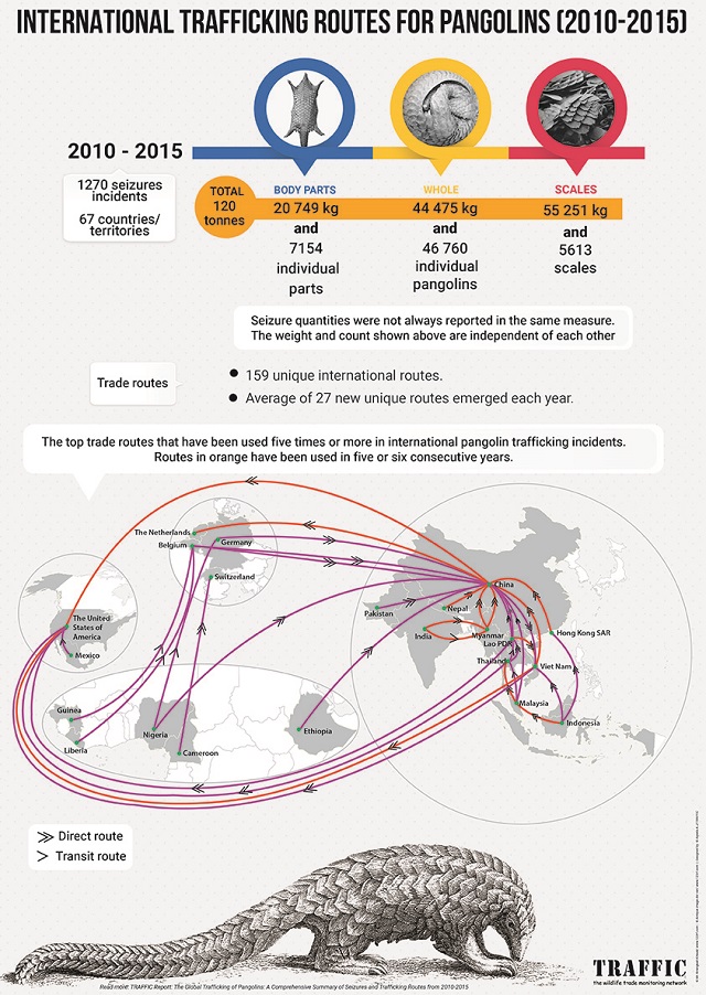 International Trafficking Routes for Pangolins showing seizure incidents, quantities, countries involved, and major trade routes.